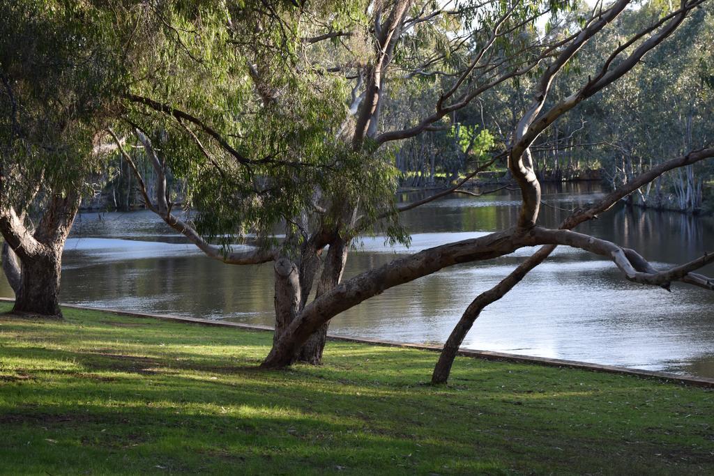 Bushy Lake Chalets Margaret River Exteriör bild