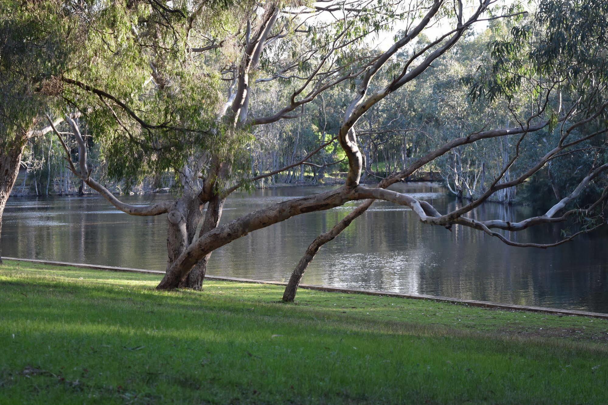 Bushy Lake Chalets Margaret River Exteriör bild